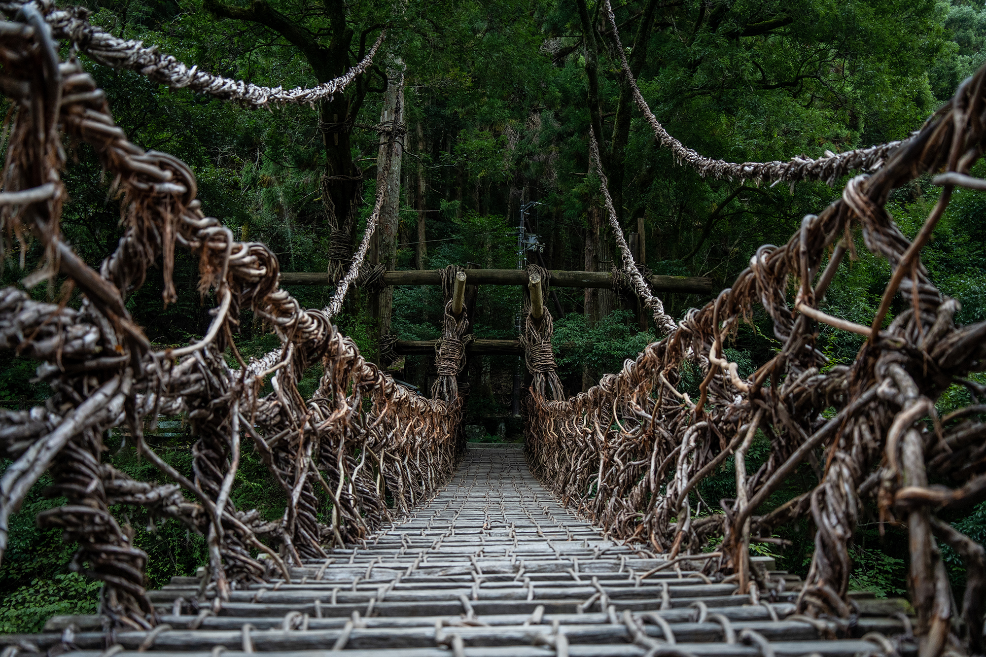 徳島県：祖谷のかずら橋